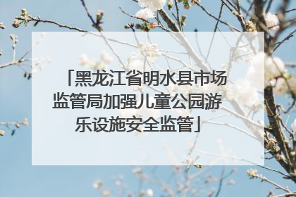 黑龙江省明水县市场监管局加强儿童公园游乐设施安全监管