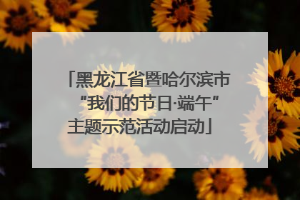 黑龙江省暨哈尔滨市“我们的节日·端午”主题示范活动启动