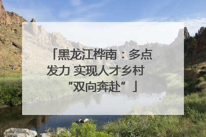 黑龙江桦南：多点发力 实现人才乡村“双向奔赴”