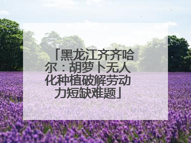 黑龙江齐齐哈尔：胡萝卜无人化种植破解劳动力短缺难题
