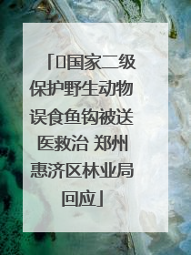 ﻿国家二级保护野生动物误食鱼钩被送医救治 郑州惠济区林业局回应