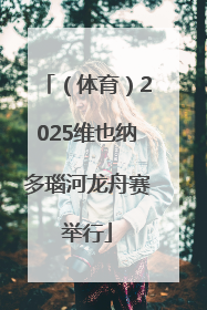 （体育）2025维也纳多瑙河龙舟赛举行