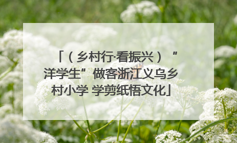 （乡村行·看振兴）“洋学生”做客浙江义乌乡村小学 学剪纸悟文化