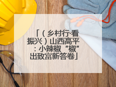 （乡村行·看振兴）山西高平：小辣椒“椒”出致富新答卷