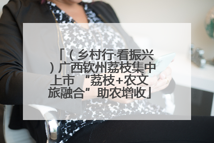 （乡村行·看振兴）广西钦州荔枝集中上市 “荔枝+农文旅融合”助农增收