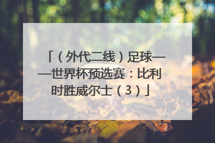 （外代二线）足球——世界杯预选赛：比利时胜威尔士（3）