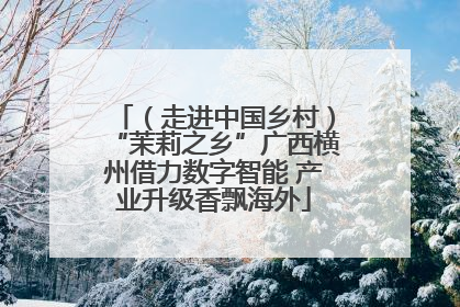 （走进中国乡村）“茉莉之乡”广西横州借力数字智能 产业升级香飘海外