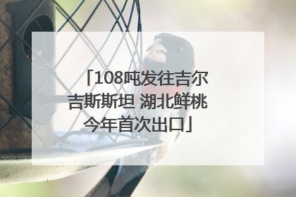 108吨发往吉尔吉斯斯坦 湖北鲜桃今年首次出口