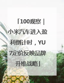 100观察｜小米汽车进入盈利倒计时，YU7定价反映品牌升维战略