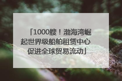 1000艘！渤海湾崛起世界级船舶租赁中心 促进全球贸易流动