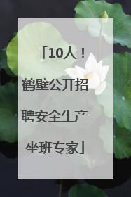 10人！鹤壁公开招聘安全生产坐班专家
