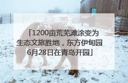 1200亩荒芜滩涂变为生态文旅胜地，东方伊甸园6月28日在青岛开园