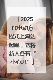 2025FE电动方程式上海站起跑，老将新人各有“小心思”