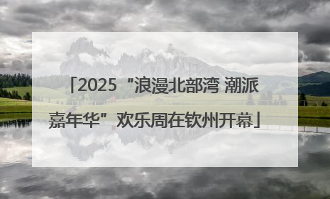 2025“浪漫北部湾 潮派嘉年华”欢乐周在钦州开幕