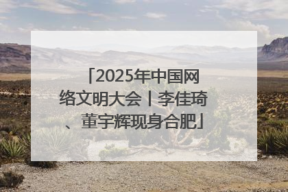 2025年中国网络文明大会丨李佳琦、董宇辉现身合肥