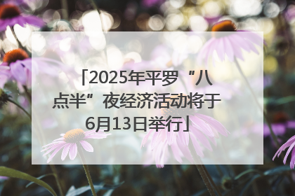 2025年平罗“八点半”夜经济活动将于6月13日举行