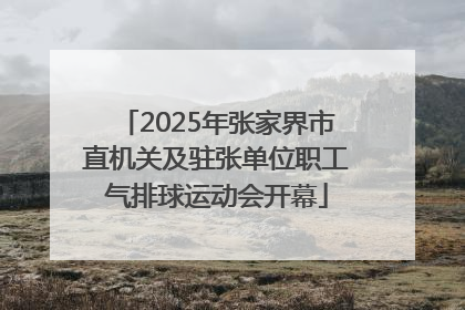 2025年张家界市直机关及驻张单位职工气排球运动会开幕