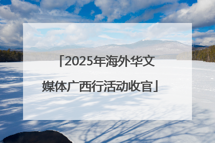 2025年海外华文媒体广西行活动收官