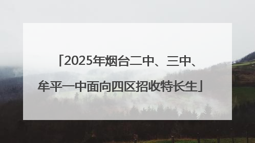 2025年烟台二中、三中、牟平一中面向四区招收特长生
