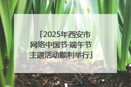 2025年西安市网络中国节·端午节主题活动顺利举行