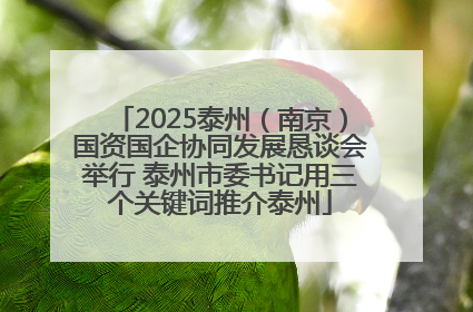 2025泰州（南京）国资国企协同发展恳谈会举行 泰州市委书记用三个关键词推介泰州