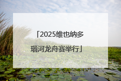 2025维也纳多瑙河龙舟赛举行