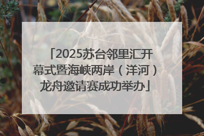 2025苏台邻里汇开幕式暨海峡两岸（洋河）龙舟邀请赛成功举办