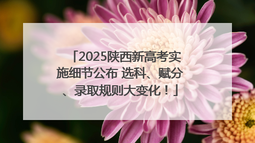 2025陕西新高考实施细节公布 选科、赋分、录取规则大变化！