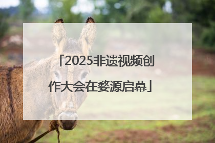 2025非遗视频创作大会在婺源启幕