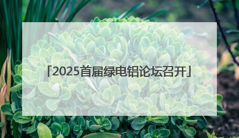 2025首届绿电铝论坛召开