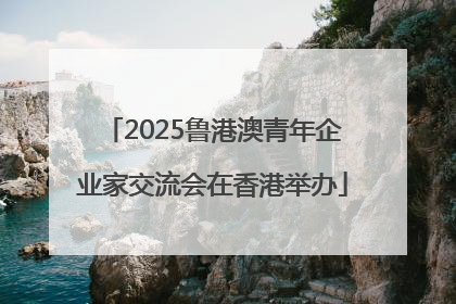 2025鲁港澳青年企业家交流会在香港举办
