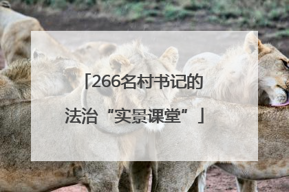 266名村书记的法治“实景课堂”
