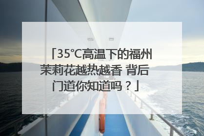 35℃高温下的福州茉莉花越热越香 背后门道你知道吗？
