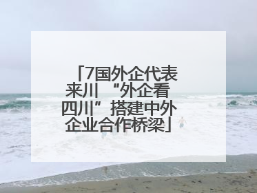 7国外企代表来川 “外企看四川”搭建中外企业合作桥梁