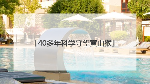 40多年科学守望黄山猴