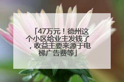 47万元！德州这个小区给业主发钱了，收益主要来源于电梯广告费等