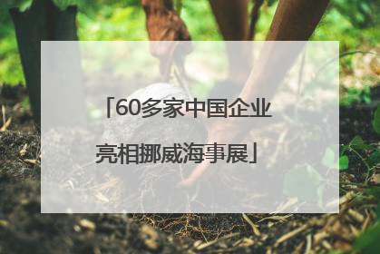 60多家中国企业亮相挪威海事展