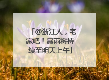 @浙江人，宅家吧！暴雨将持续至明天上午