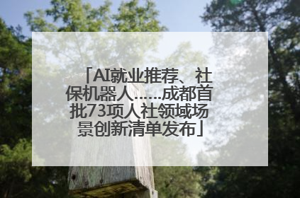 AI就业推荐、社保机器人……成都首批73项人社领域场景创新清单发布