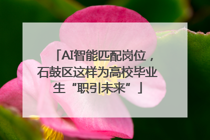 AI智能匹配岗位，石鼓区这样为高校毕业生“职引未来”