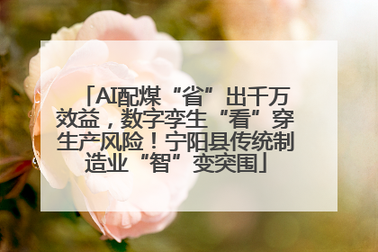 AI配煤“省”出千万效益，数字孪生“看”穿生产风险！宁阳县传统制造业“智”变突围