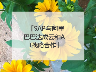 SAP与阿里巴巴达成云和AI战略合作