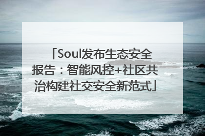 Soul发布生态安全报告：智能风控+社区共治构建社交安全新范式
